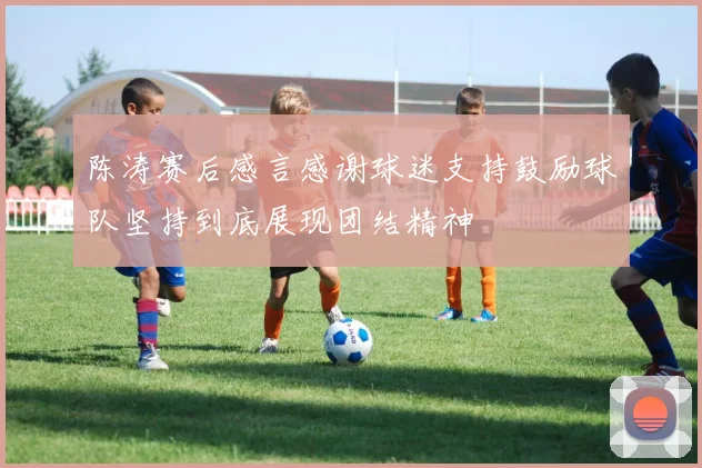 陈涛赛后感言感谢球迷支持鼓励球队坚持到底展现团结精神